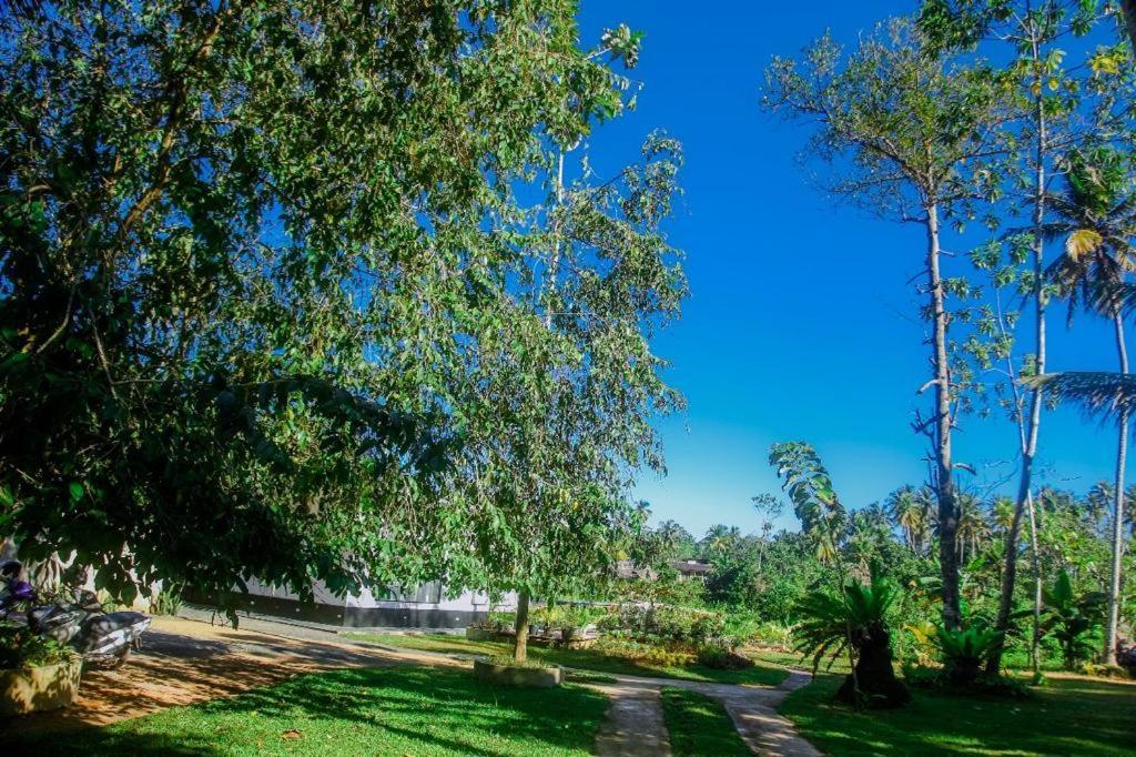 Aparthotel The Glade Weligama Zewnętrze zdjęcie